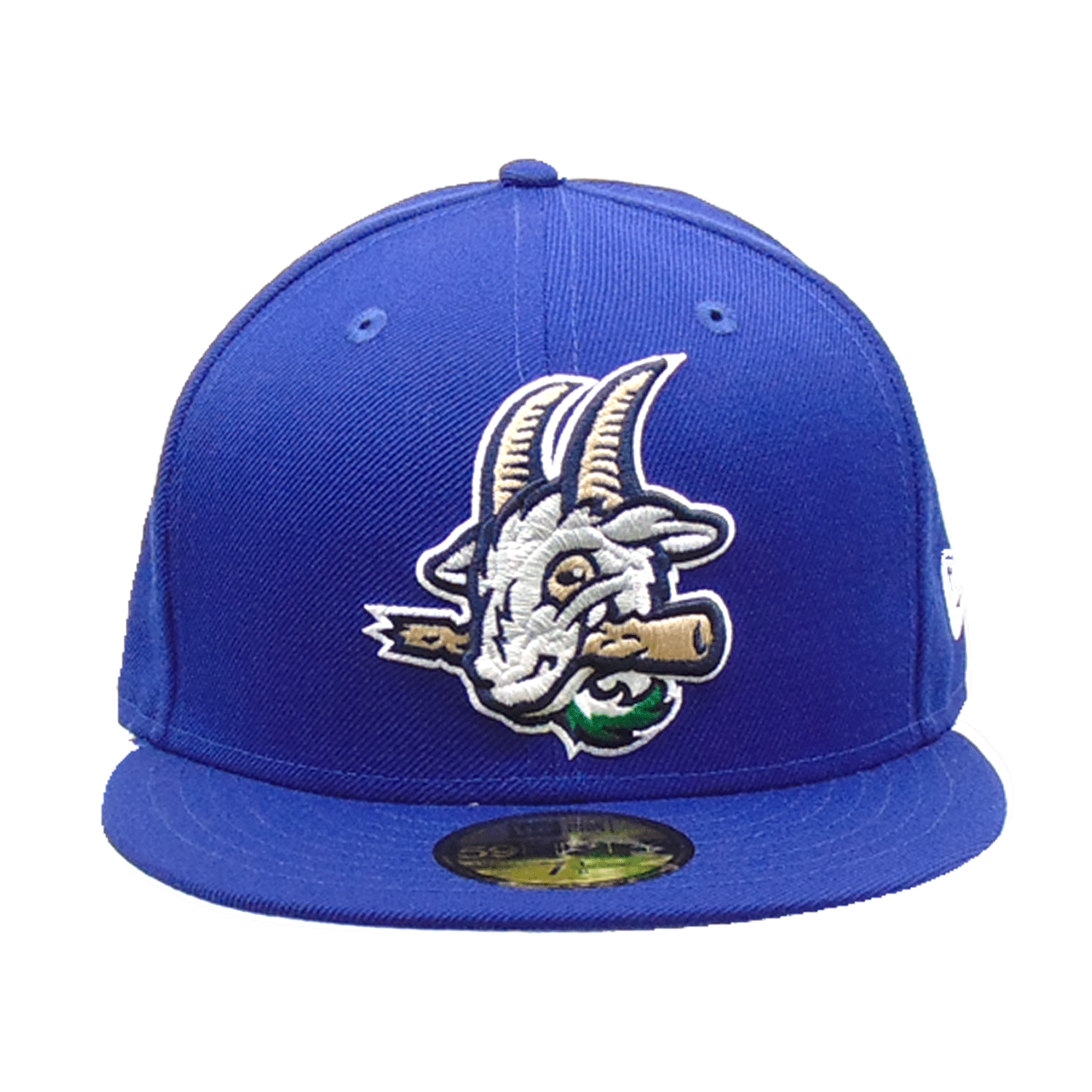 hartford yard goats hat